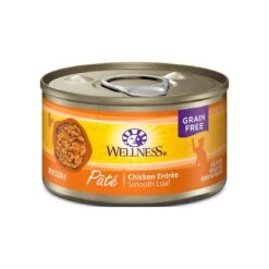 Wellness Complete Health Pate Canned Cat Food -Cat And Dog Pet Supply Store 138071.1 1000