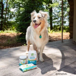 Only Natural Pet Flea & Tick Starter Kit For Dogs 27 Only Natural Pet Flea & Tick Starter Kit For Dogs -Cat And Dog Pet Supply Store 23520851 44d2 45b6 9a08 2b0374f8be1e