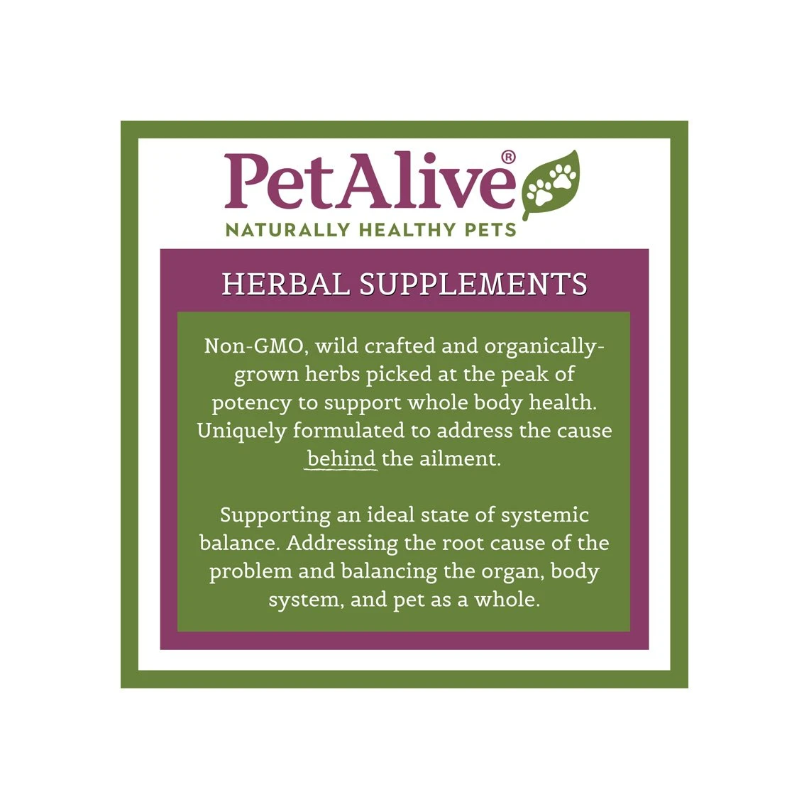 PetAlive AnalGlandz 11 PetAlive AnalGlandz - Image 11