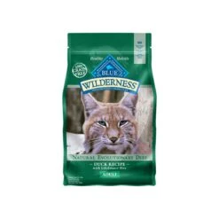 Blue Buffalo Wilderness Grain-Free Dry Cat Food -Cat And Dog Pet Supply Store 413124 1000