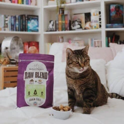 Stella & Chewy's Raw Blend Dry Cat Food -Cat And Dog Pet Supply Store 67765679 1404403316394709 4112544515737662852 n