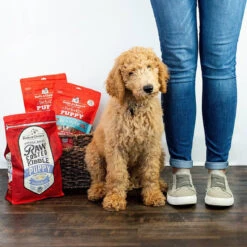 Stella & Chewy's Raw Coated Puppy Food -Cat And Dog Pet Supply Store 70519695 1347288558780846 6190012131137915521 n