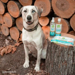 Only Natural Pet Flea & Tick Grooming Kit For Dogs & Cats -Cat And Dog Pet Supply Store 7d5c5feb 7c1e 48ec a038 b0664681b60d