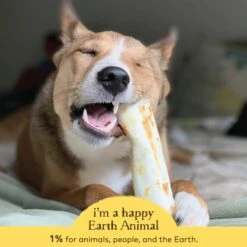 Earth Animal No-Hide Peanut Butter Single Chew For Dogs -Cat And Dog Pet Supply Store 812121031340 ALT4