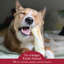 Earth Animal No-Hide Beef Single Chew For Dogs -Cat And Dog Pet Supply Store 853965006095 ALT4