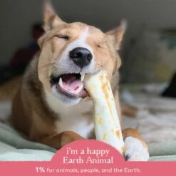 Earth Animal No Hide Salmon Chews For Dogs 16 Earth Animal No Hide Salmon Chews For Dogs -Cat And Dog Pet Supply Store 853965006101 ALT4