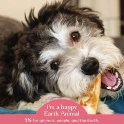 Earth Animal No Hide Salmon Chews For Dogs 13 Earth Animal No Hide Salmon Chews For Dogs -Cat And Dog Pet Supply Store 853965006132 ALT4