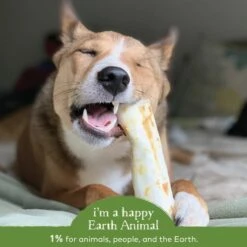Earth Animal No-Hide Pork Single Chew For Dogs -Cat And Dog Pet Supply Store 853965006606 ALT4
