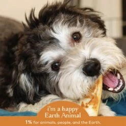 Earth Animal No-Hide Chicken Chew For Dogs -Cat And Dog Pet Supply Store 857253003759 ALT4