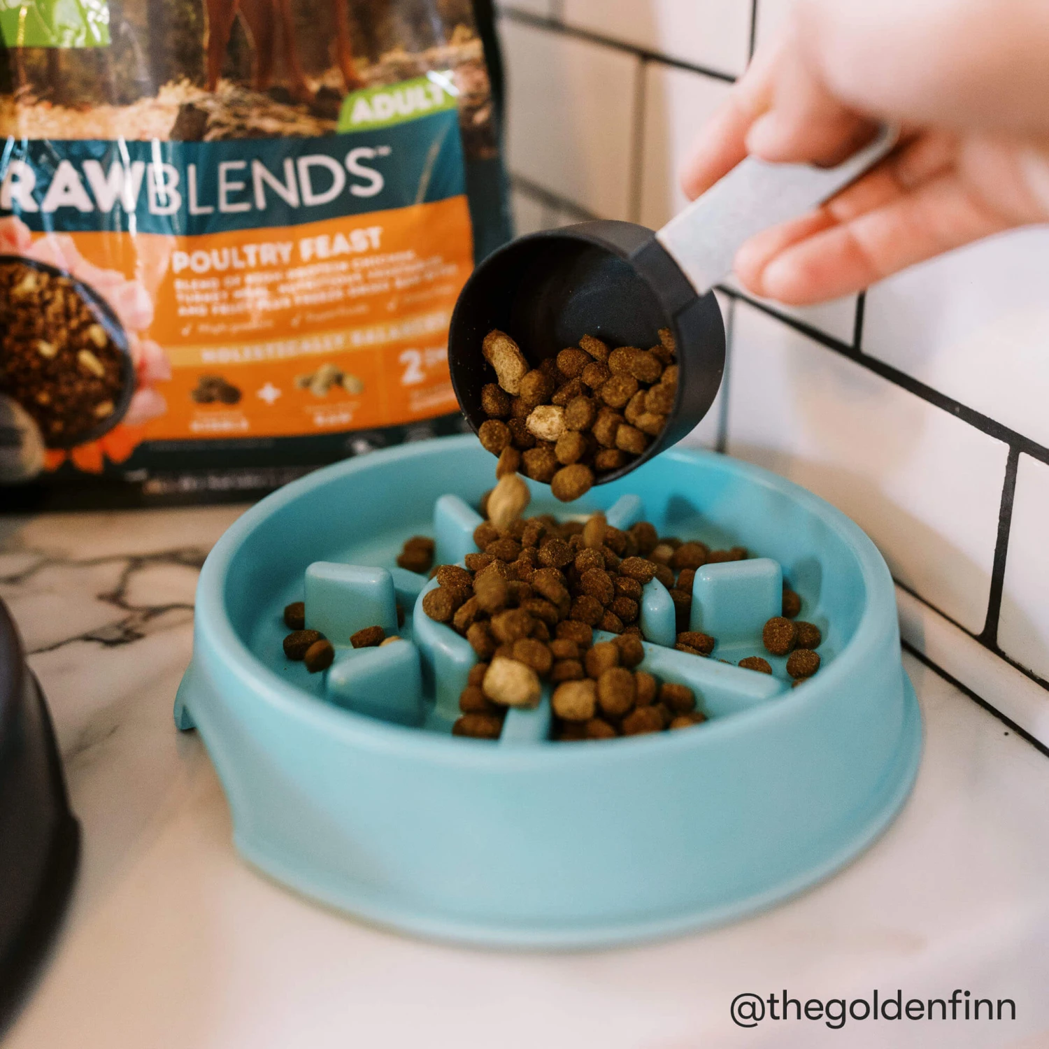 Only Natural Pet Raw Blends Chicken And Poultry Feast Raw Grain Free Dog Food 7 Only Natural Pet Raw Blends Chicken And Poultry Feast Raw Grain Free Dog Food - Image 7