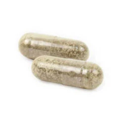 Ark Naturals Gentle Digest Probiotic Supplement For Dogs & Cats -Cat And Dog Pet Supply Store ArkNaturalsGentleDigestCapsuleProduct