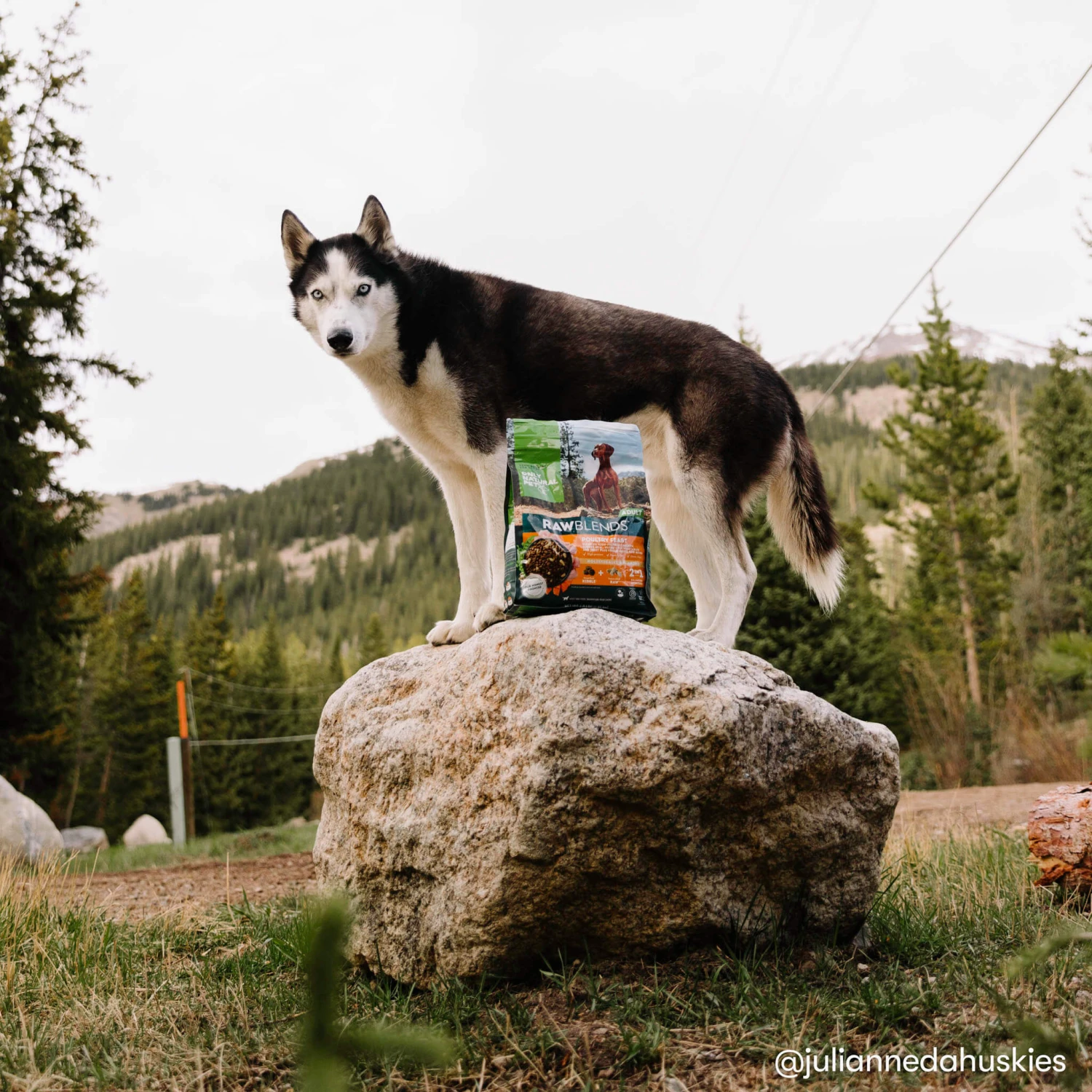 Only Natural Pet Raw Blends Chicken And Poultry Feast Raw Grain Free Dog Food 9 Only Natural Pet Raw Blends Chicken And Poultry Feast Raw Grain Free Dog Food - Image 9