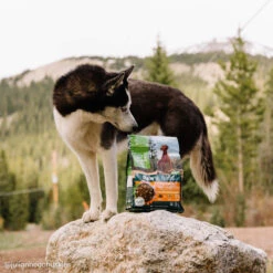 Only Natural Pet Raw Blends Chicken And Poultry Feast Raw Grain Free Dog Food 17 Only Natural Pet Raw Blends Chicken And Poultry Feast Raw Grain Free Dog Food -Cat And Dog Pet Supply Store BF6A0058