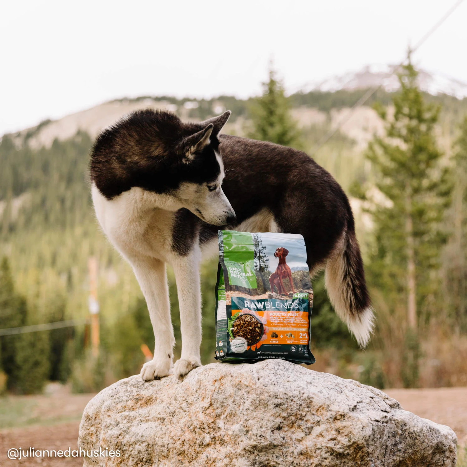 Only Natural Pet Raw Blends Chicken And Poultry Feast Raw Grain Free Dog Food 8 Only Natural Pet Raw Blends Chicken And Poultry Feast Raw Grain Free Dog Food - Image 8