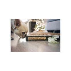 Bark Potty All Natural Pee Pad 9 Bark Potty All Natural Pee Pad -Cat And Dog Pet Supply Store BarkPotty Lifestyle