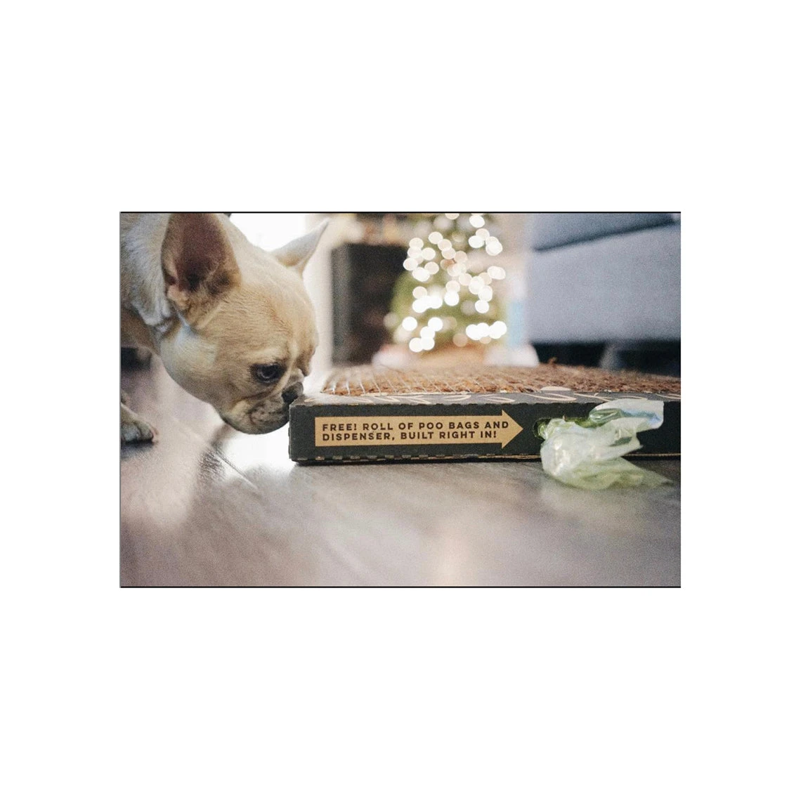 Bark Potty All Natural Pee Pad 5 Bark Potty All Natural Pee Pad - Image 5