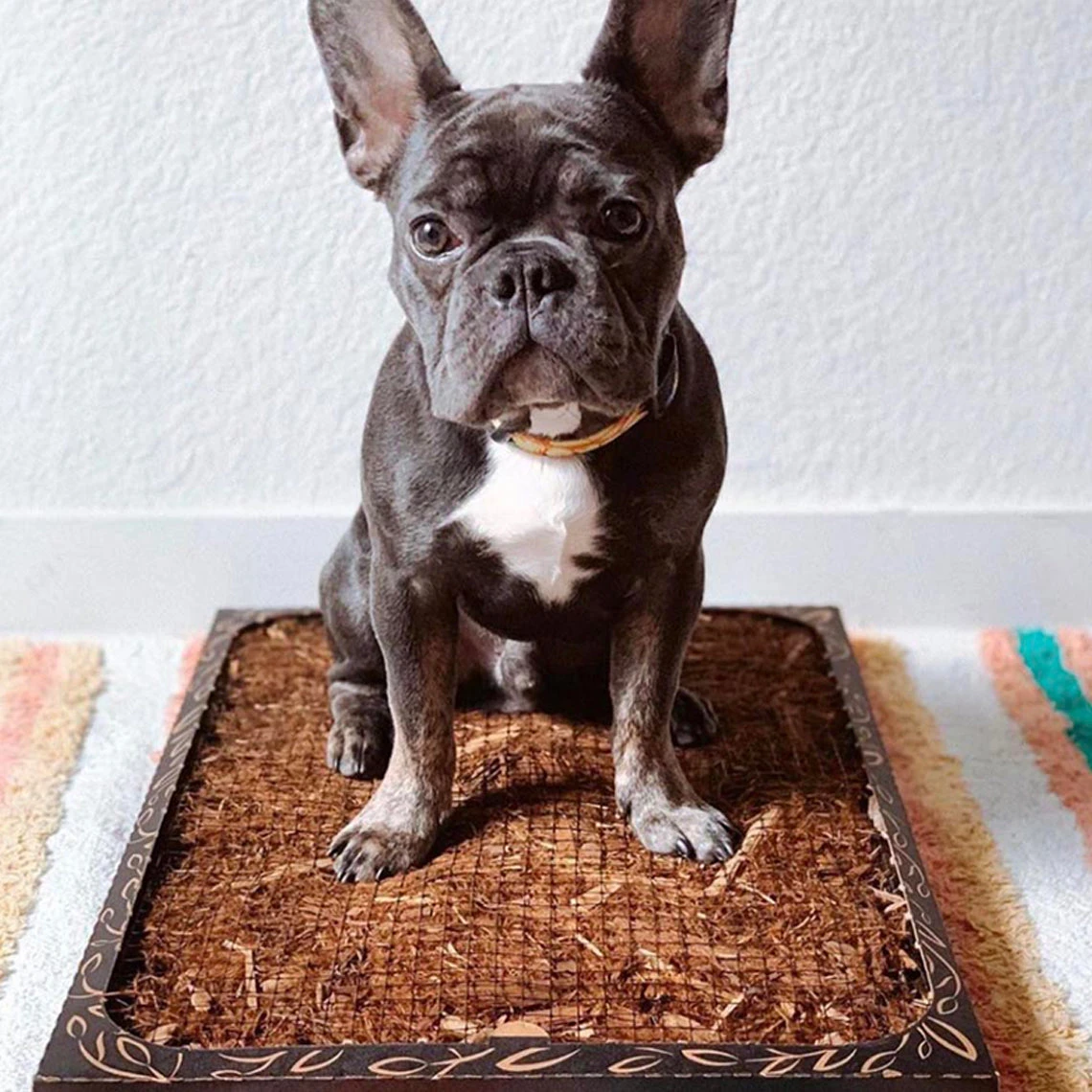 Bark Potty All Natural Pee Pad 1 Bark Potty All Natural Pee Pad