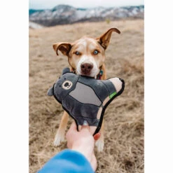 Only Natural Pet Mountain Friends Recycled Plush Dog Toys 26 Only Natural Pet Mountain Friends Recycled Plush Dog Toys -Cat And Dog Pet Supply Store BeatricetheBearMountainFriendsPlushDogToyLifestyleShot