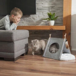 Beonebreed Cat Hammock Bed -Cat And Dog Pet Supply Store Cattipi aaf733a1 df20 4d8a ae28 a970219c5c22