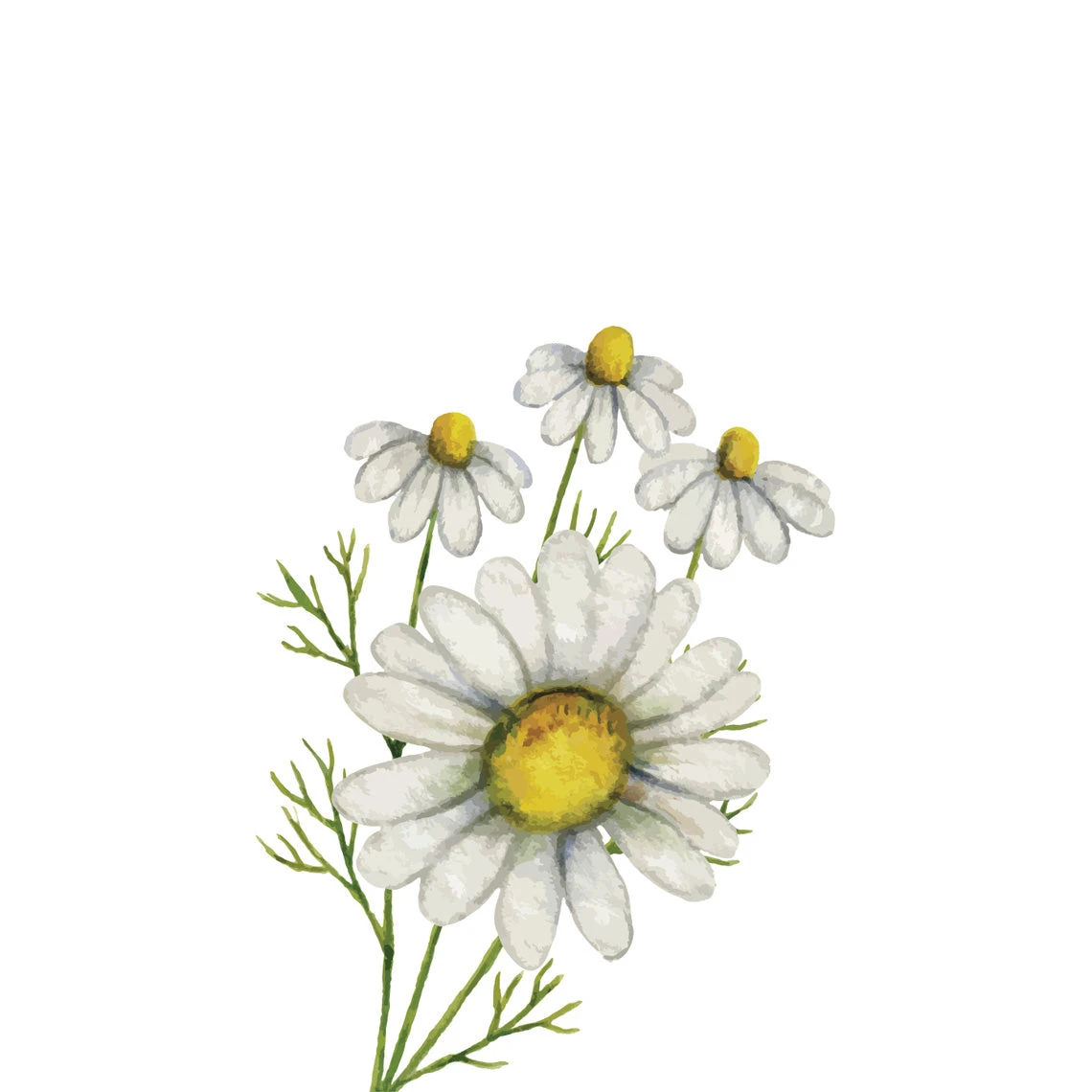 TrueBlue Natural Balance Conditioning Shampoo 2 TrueBlue Natural Balance Conditioning Shampoo - Image 2