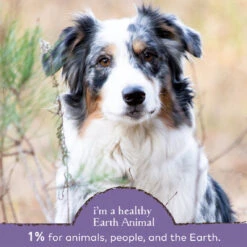 Earth Animal Healthy Digestion Nutritional Supplement Powder For Cats & Dogs -Cat And Dog Pet Supply Store EarthAnimal Digest Alt3