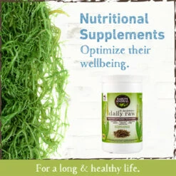 Earth Animal Daily Raw Food Nutritional Supplement Powder For Cats & Dogs -Cat And Dog Pet Supply Store EarthAnimal Raw Alt1