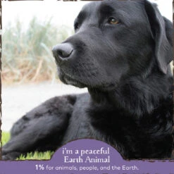 Earth Animal Organic Herbal Remedies No More Worms Tincture For Dogs 9 Earth Animal Organic Herbal Remedies No More Worms Tincture For Dogs -Cat And Dog Pet Supply Store EarthAnimal Worms Alt3