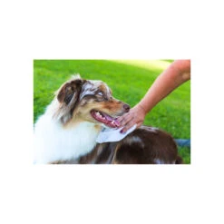 Earthbath Total Natural Pet Care Extra Thick Moist Towel Grooming Wipes For Dogs & Cats -Cat And Dog Pet Supply Store Earthbath GroomingWipes Lifestyle