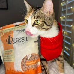 Steve's Real Food Cat Quest Freeze Dried -Cat And Dog Pet Supply Store Instagram Post Holiday Pet Theme Kellie Parenda
