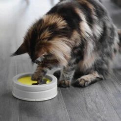 Beonebreed Cat Hammock Bed -Cat And Dog Pet Supply Store Intellikattlevel1 7c61bf9c 9287 4dee ab12 13e222b3bf47