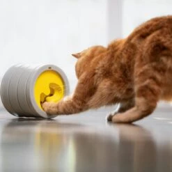 Beonebreed Cat Hammock Bed -Cat And Dog Pet Supply Store Intellikattlevel3side cdeb65c1 8b24 4888 a010 191f39f3e9b7