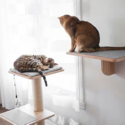 Beonebreed Cat Katt3 Evo Natural Cat Tree -Cat And Dog Pet Supply Store Katt3EVOshelf post