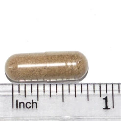 Only Natural Pet Kidney Support -Cat And Dog Pet Supply Store Kidney Support Capusle Measured