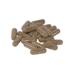 Only Natural Pet Kidney Support -Cat And Dog Pet Supply Store Kidney Support Product