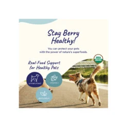 Kin + Kind Organic Healthy Immunity Supplement For Cats & Dogs 9 Kin + Kind Organic Healthy Immunity Supplement For Cats & Dogs -Cat And Dog Pet Supply Store KinKind Immunity Alt1