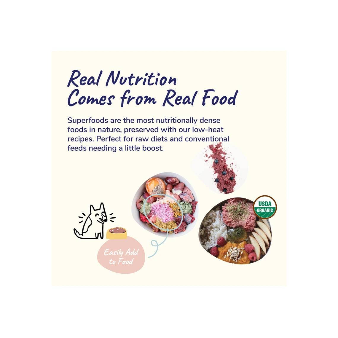 Kin + Kind Organic Healthy Immunity Supplement For Cats & Dogs 4 Kin + Kind Organic Healthy Immunity Supplement For Cats & Dogs - Image 4