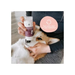 Kin + Kind Organic Nose & Paw Stick For Dogs 9 Kin + Kind Organic Nose & Paw Stick For Dogs -Cat And Dog Pet Supply Store KinKind NosePawStick Alt3