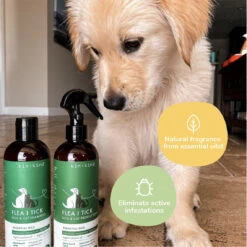 Kin + Kind Flea & Tick Shampoo For Dogs & Cats 17 Kin + Kind Flea & Tick Shampoo For Dogs & Cats -Cat And Dog Pet Supply Store Kin Kind Lavender Shampoo 2