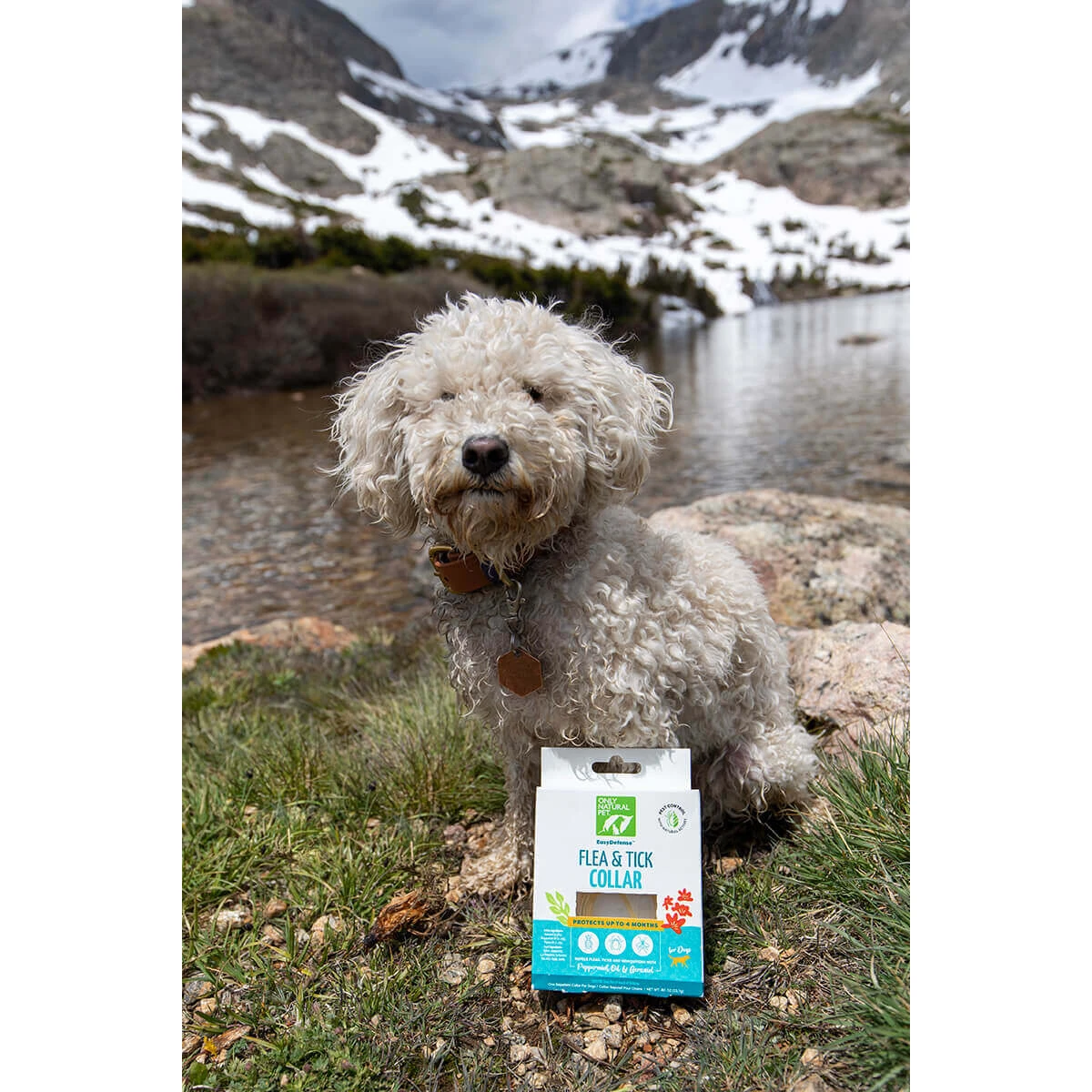 Only Natural Pet EasyDefense Flea & Tick Dog Collar Multi Pack 6 Only Natural Pet EasyDefense Flea & Tick Dog Collar Multi Pack - Image 6