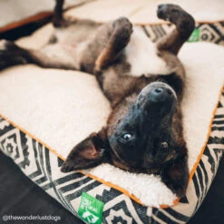 Only Natural Pet Organic Sherpa Pet Beds 15 Only Natural Pet Organic Sherpa Pet Beds -Cat And Dog Pet Supply Store ONPOrganicSherpaPetBedLifestyleImage2