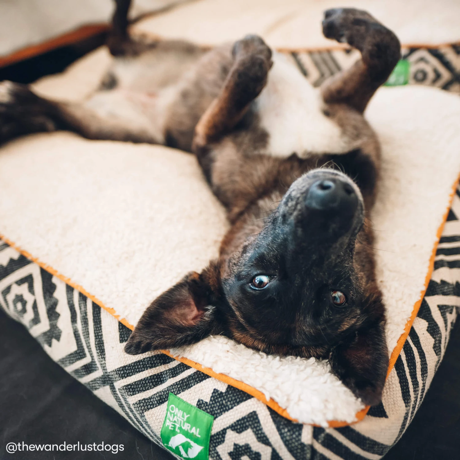 Only Natural Pet Organic Sherpa Pet Beds 7 Only Natural Pet Organic Sherpa Pet Beds - Image 7