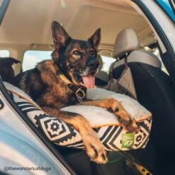 Only Natural Pet Organic Sherpa Pet Beds 13 Only Natural Pet Organic Sherpa Pet Beds -Cat And Dog Pet Supply Store ONPOrganicSherpaPetBedLifestyleImage4