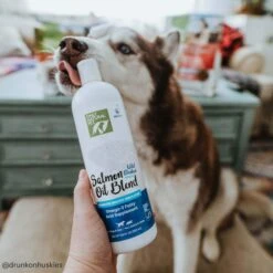 Only Natural Pet Wild Alaskan Salmon Oil Blend For Dogs & Cats -Cat And Dog Pet Supply Store ONPWildAlaskanSalmonOilBlendLifestyle