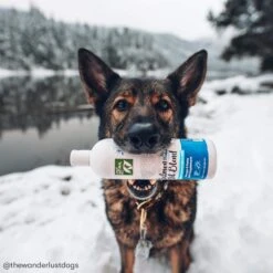 Only Natural Pet Wild Alaskan Salmon Oil Blend For Dogs & Cats -Cat And Dog Pet Supply Store ONPWildAlaskanSalmonOilBlendLifestyle2