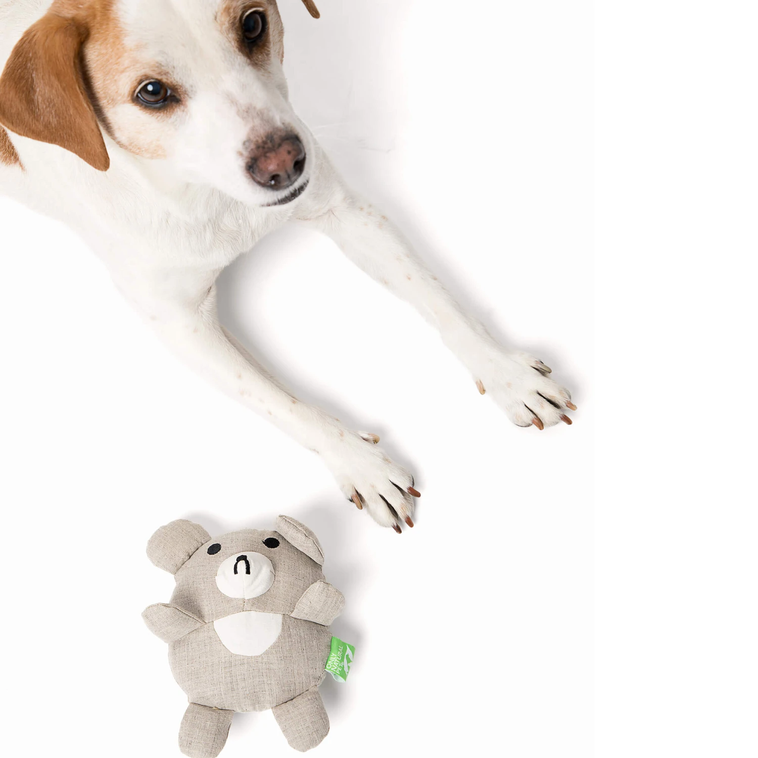 Only Natural Pet Hemp Bear Dog Toy 3 Only Natural Pet Hemp Bear Dog Toy - Image 3