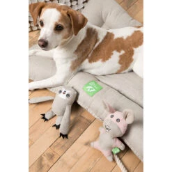 Only Natural Pet Hemp Bunny Dog Toy 7 Only Natural Pet Hemp Bunny Dog Toy -Cat And Dog Pet Supply Store OnlyNaturalPetHempBedLifestyleShot 9c4e9c8e 51d2 45f4 b4f3 21d04d865128