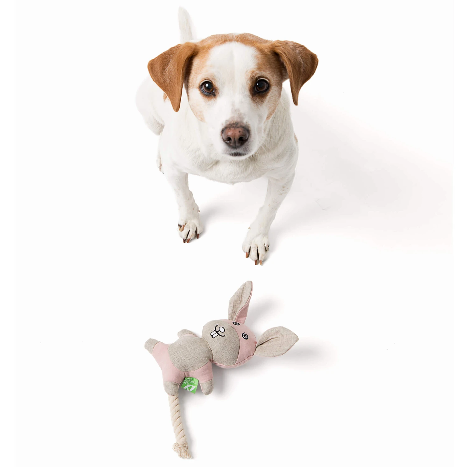 Only Natural Pet Hemp Bunny Dog Toy 3 Only Natural Pet Hemp Bunny Dog Toy - Image 3