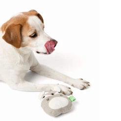 Only Natural Pet Hemp Fox Dog Toy -Cat And Dog Pet Supply Store OnlyNaturalPetHempFoxDogToywDog