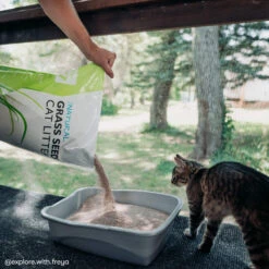 Only Natural Pet Non GMO Fast Clumping Grass Seed Cat Litter 11 Only Natural Pet Non GMO Fast Clumping Grass Seed Cat Litter -Cat And Dog Pet Supply Store OnlyNaturalPetNonGMOFastClumpingGrassSeedCatLitterLifestyleImage