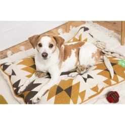 Only Natural Pet Eco-Friendly Regenerated Cotton Ball Dog Toy -Cat And Dog Pet Supply Store OnlyNaturalPetRegeneratedCottonBedLifestyleShot